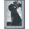 公害の原点・水俣から学ぶ 土本典昭DVDセット 全巻17枚セット - 画像 (13)
