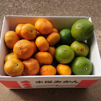 青島・スイートスプリングセット５ｋｇ