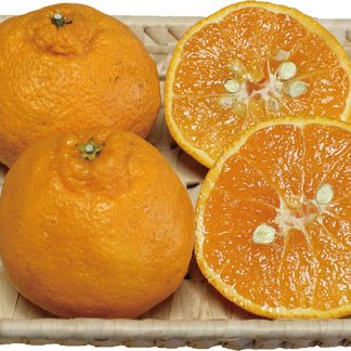 しらぬい５ｋｇ