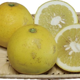 パール柑５ｋｇ