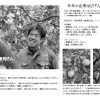 河内晩柑　５Kg - 画像 (2)