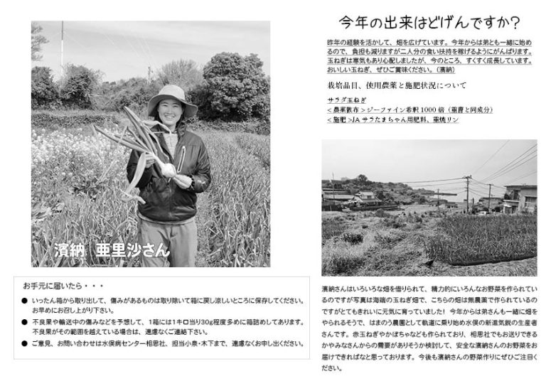 ぐれたまセット　５Kg - 画像 (3)