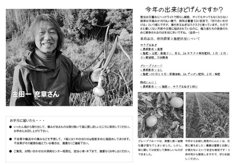 グレープフルーツ５Kg - 画像 (2)