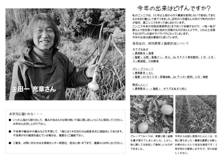 熟成ニンニク　バラ売り - 画像 (2)