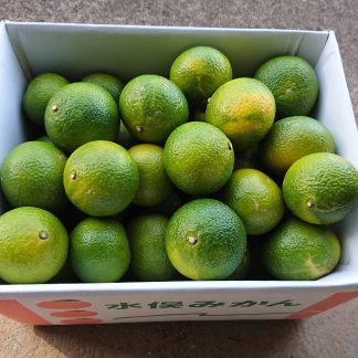 スイートスプリング１０ｋｇ