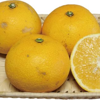 はっさく５ｋｇ